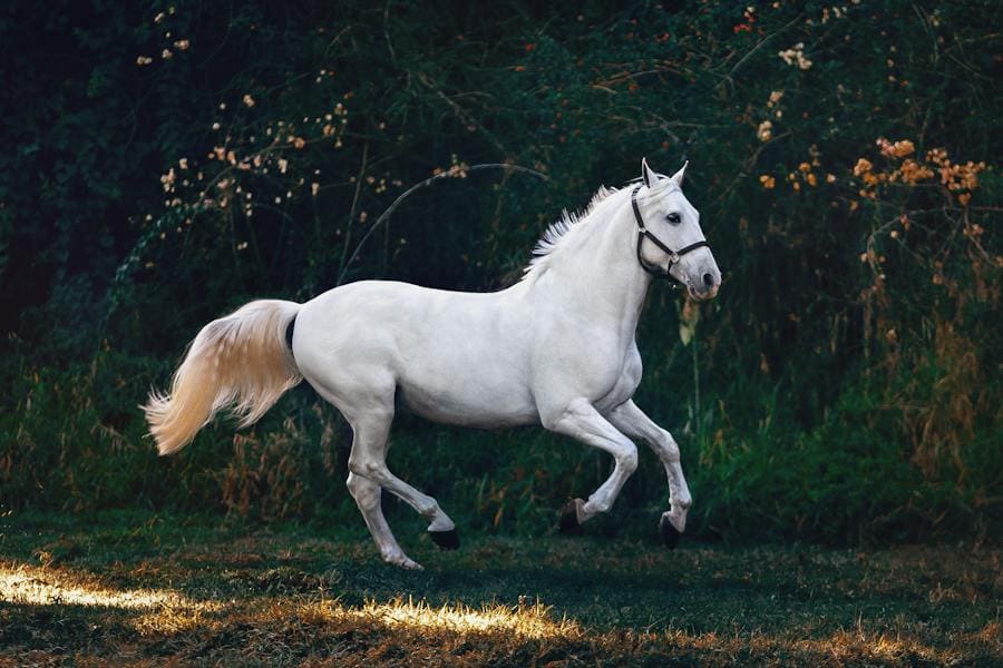 Horse Spirit Animal: Power and Symbolism Behind This Animal