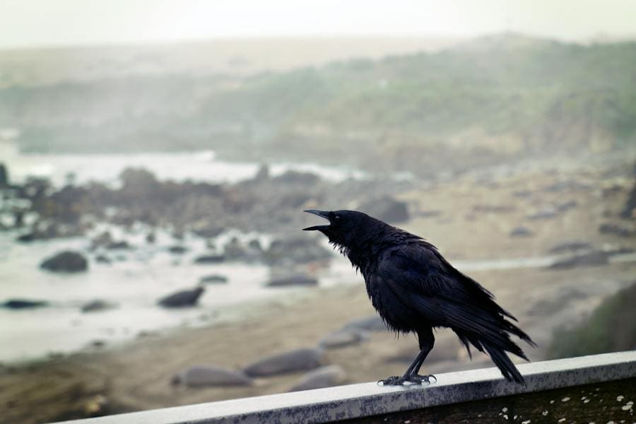 Raven Spirit Animal: Power and Symbolism